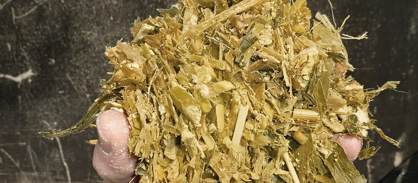 Trinciato fermentato -